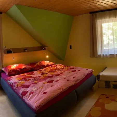 U Přehrady Apartamento *